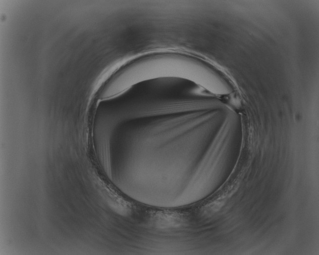 X0000087401319200705181322