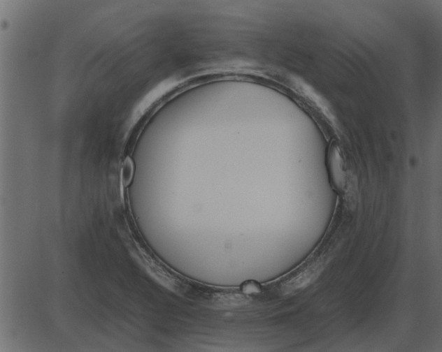 X0000087401320200705181322