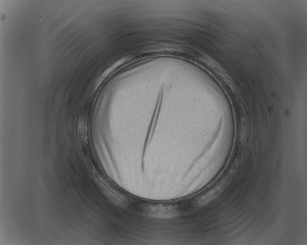 X0000087401321200705181322