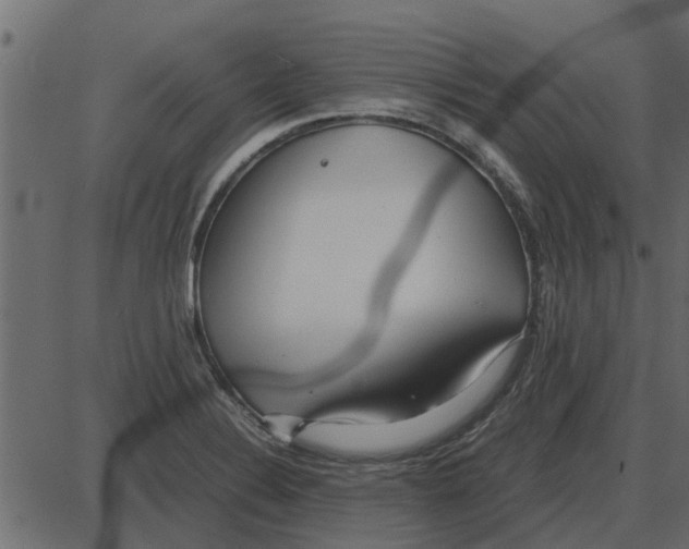 X0000087401324200705181322