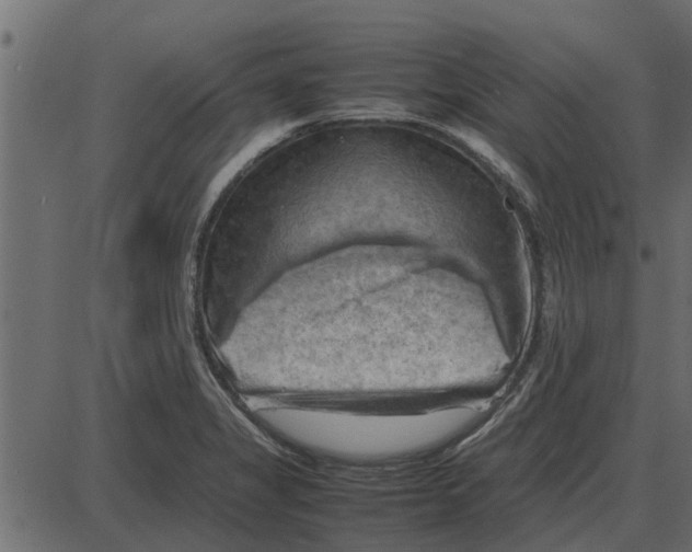 X0000087401325200705181322