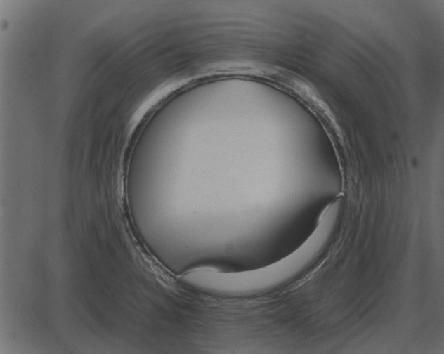 X0000087401328200705181322