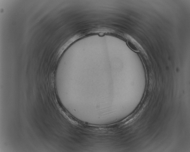 X0000087401329200705181322