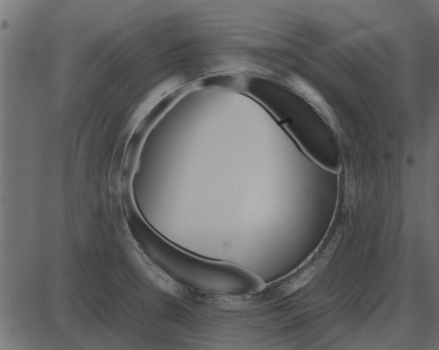 X0000087401330200705181323