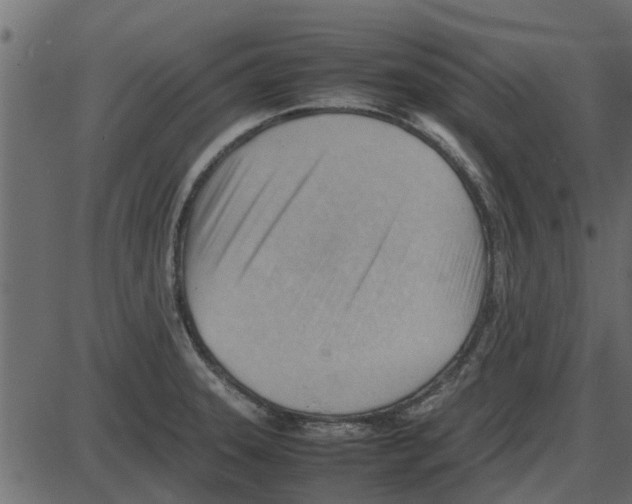 X0000087401331200705181323