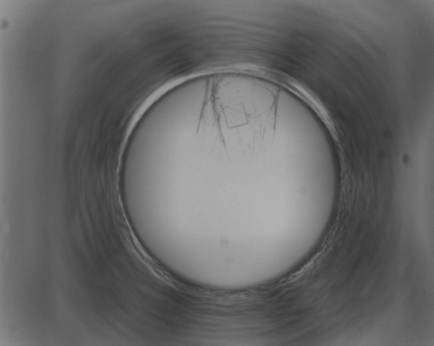 X0000087401332200705181323