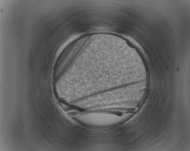 X0000087401333200705181323