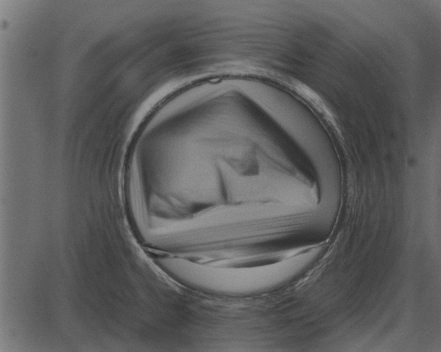 X0000087401334200705181323