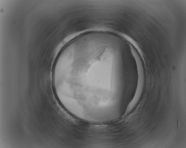 X0000087401335200705181323