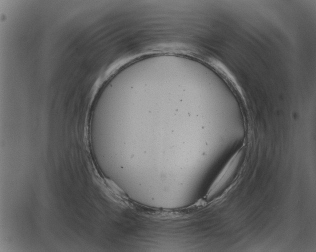 X0000087401336200705181323