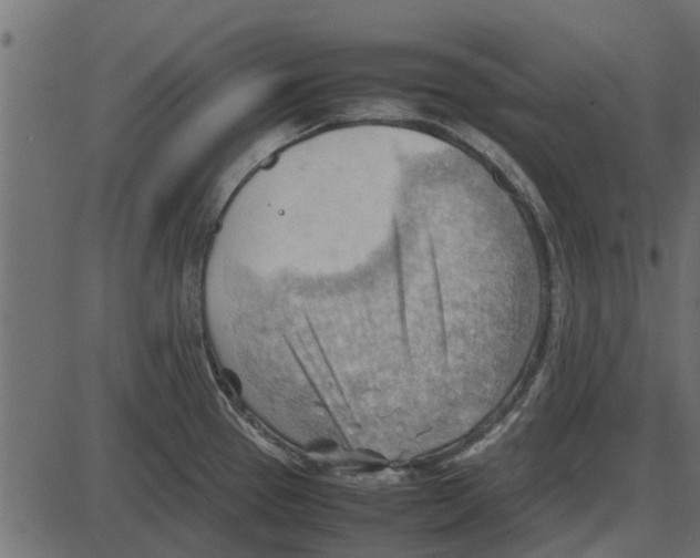 X0000087401337200705181323