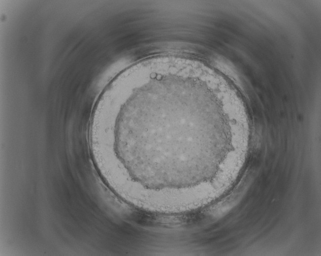 X0000087401338200705181323