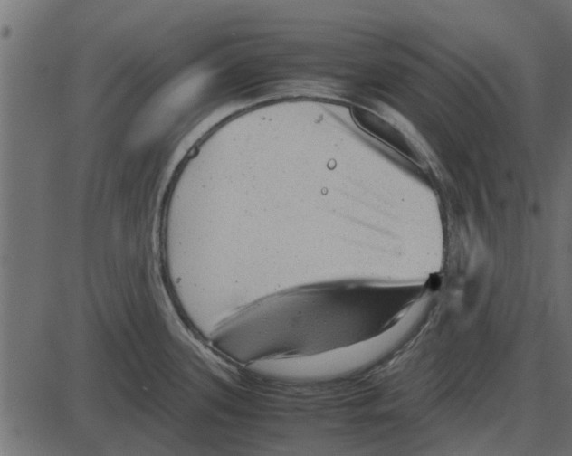 X0000087401339200705181323