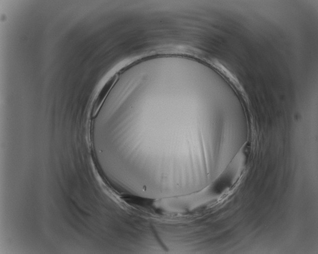 X0000087401342200705181323