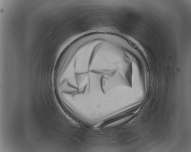 X0000087401343200705181323