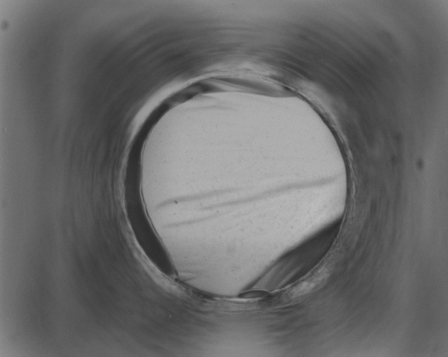 X0000087401344200705181323