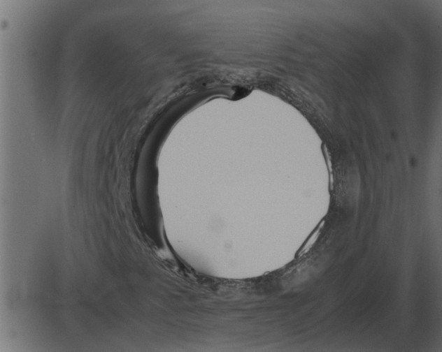 X0000087401345200705181322