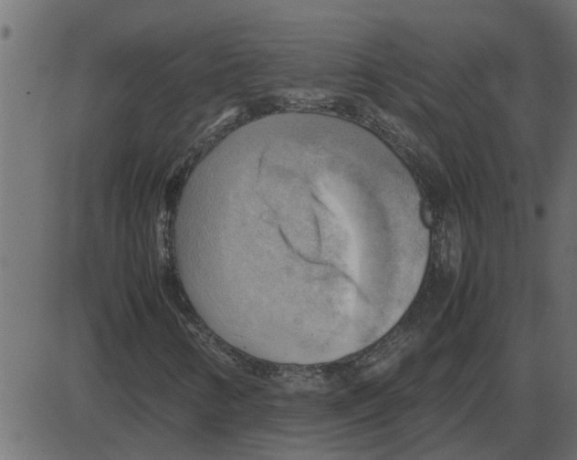 X0000087401346200705181322