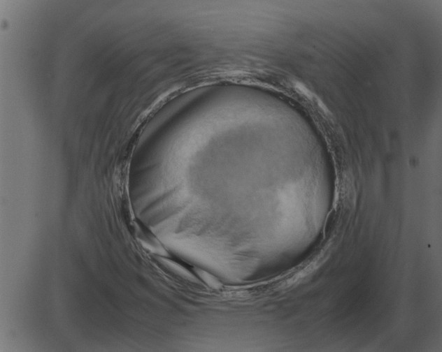 X0000087401353200705181322