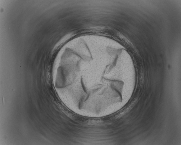 X0000087401354200705181322