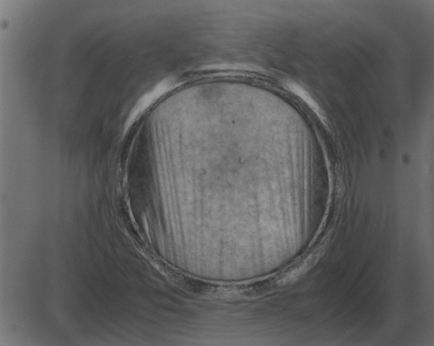 X0000087401357200705181322