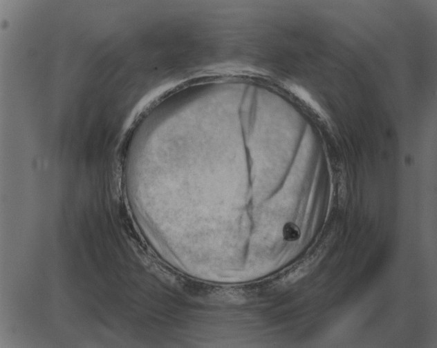 X0000087401358200705181322