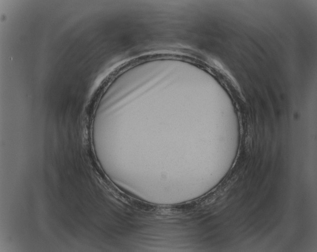 X0000087401360200705181322