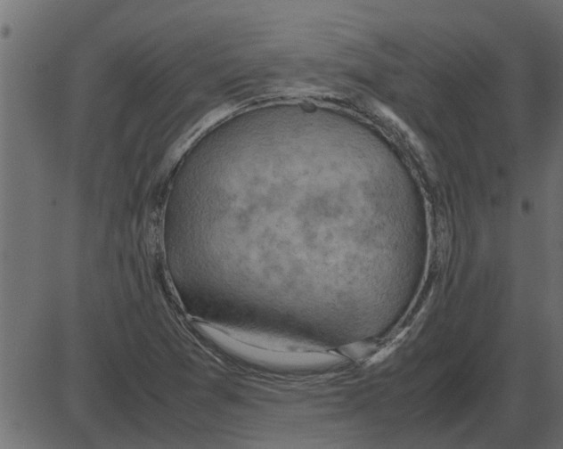 X0000087401361200705181322