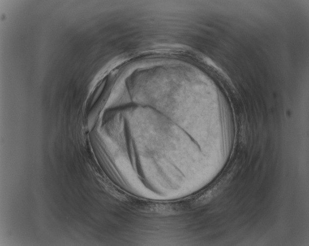 X0000087401362200705181322