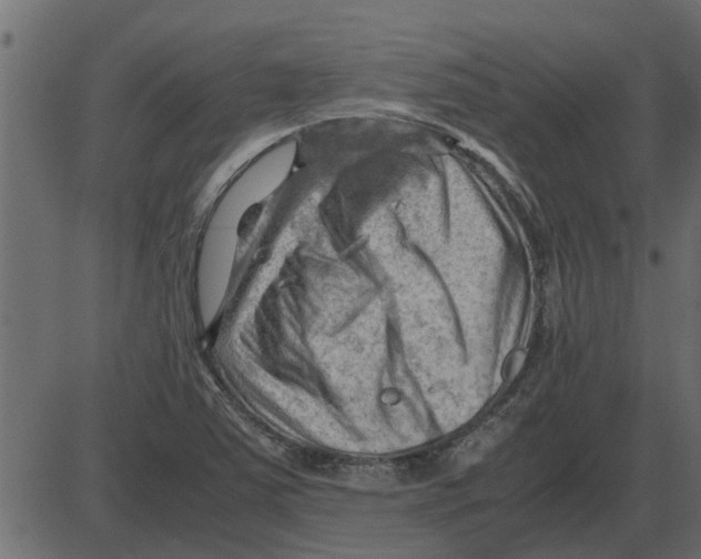 X0000087401363200705181322