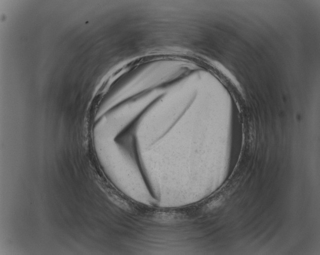 X0000087401364200705181322