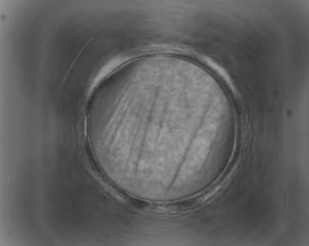 X0000087401365200705181322