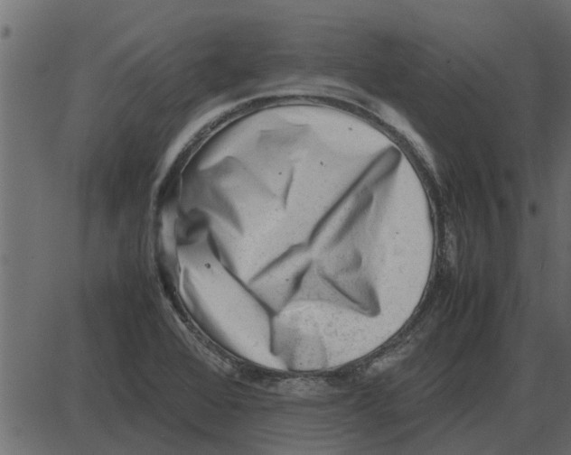 X0000087401368200705181322