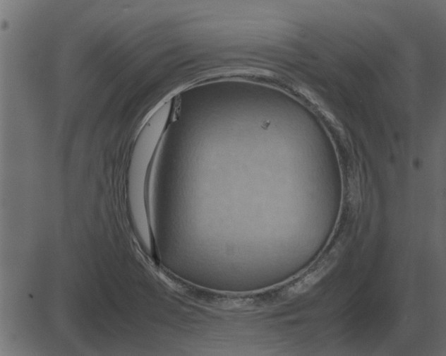 X0000087401369200705181322