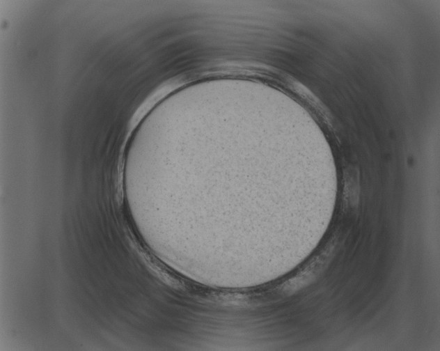 X0000087401370200705181322