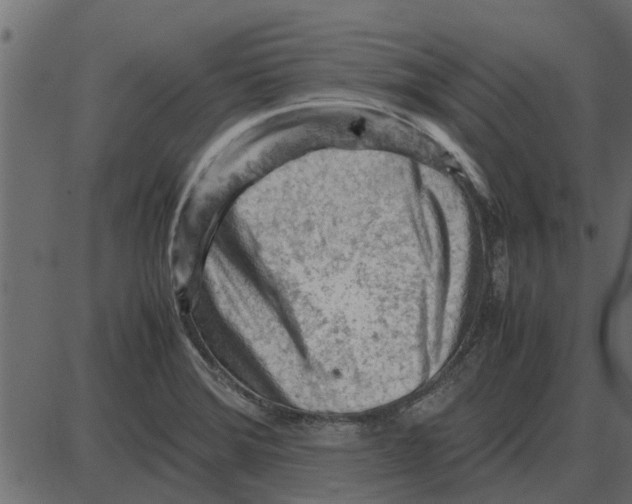 X0000087401372200705181322