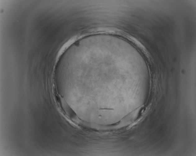 X0000087401373200705181321