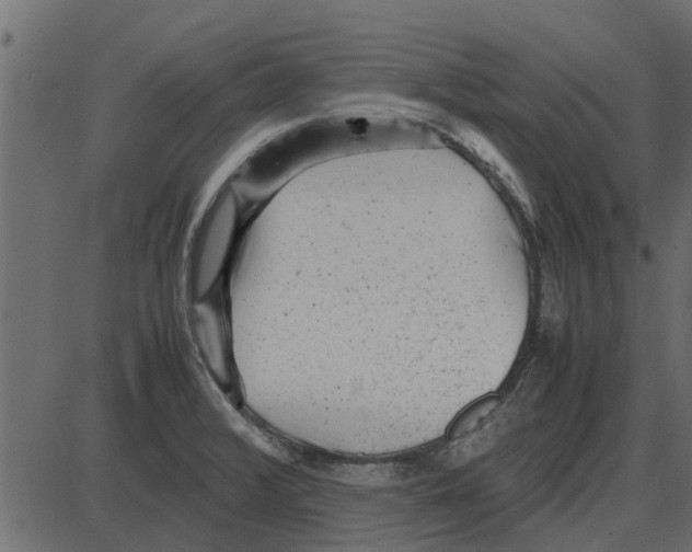 X0000087401376200705181321