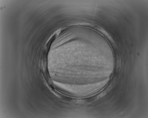 X0000087401377200705181321