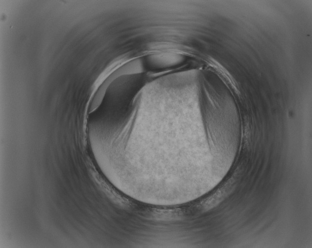 X0000087401378200705181321