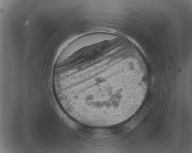 X0000087401379200705181321