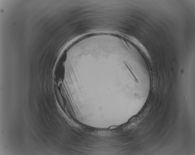 X0000087401380200705181321