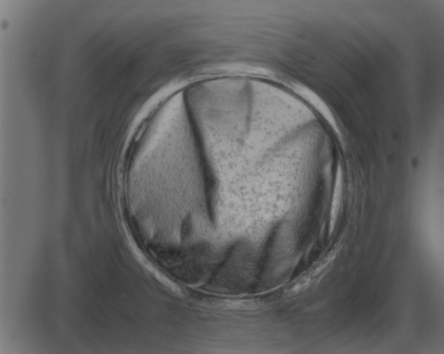 X0000087401381200705181321