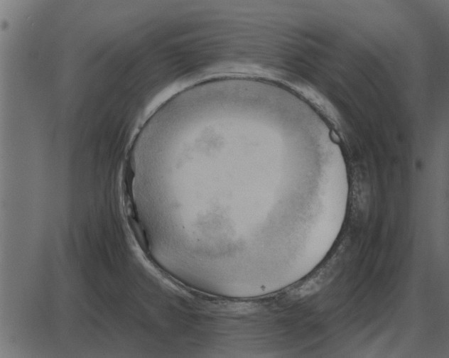 X0000087401382200705181321