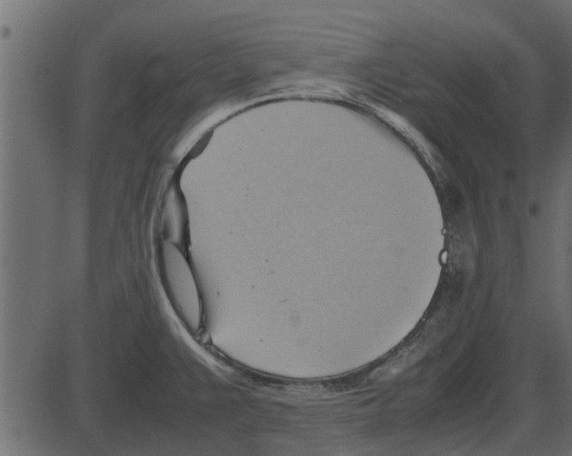 X0000087401383200705181321