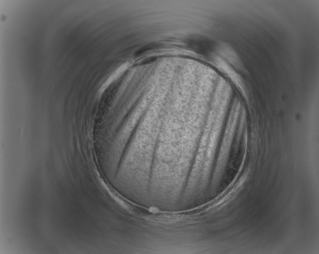 X0000087401385200705181321