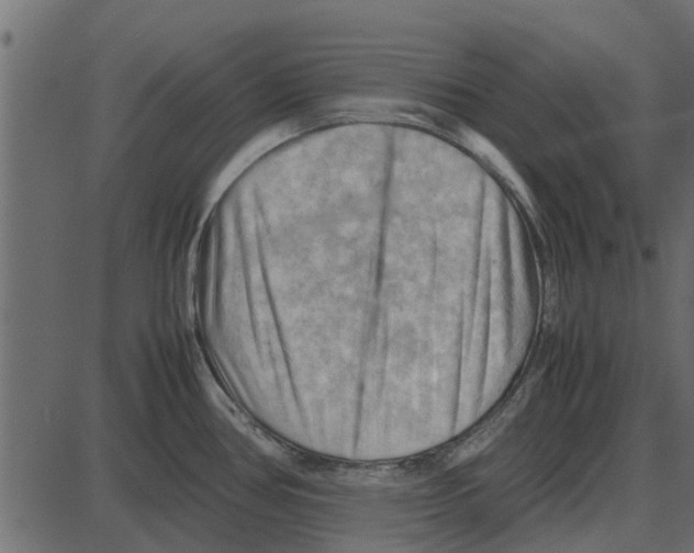 X0000087401386200705181321