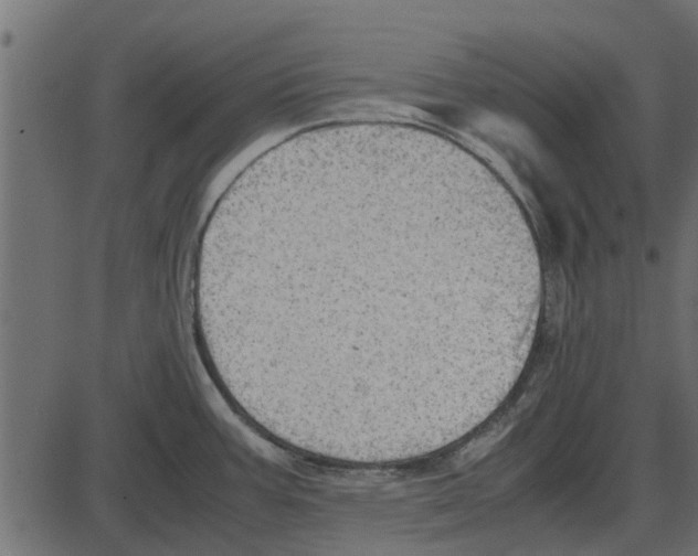 X0000087401387200705181321