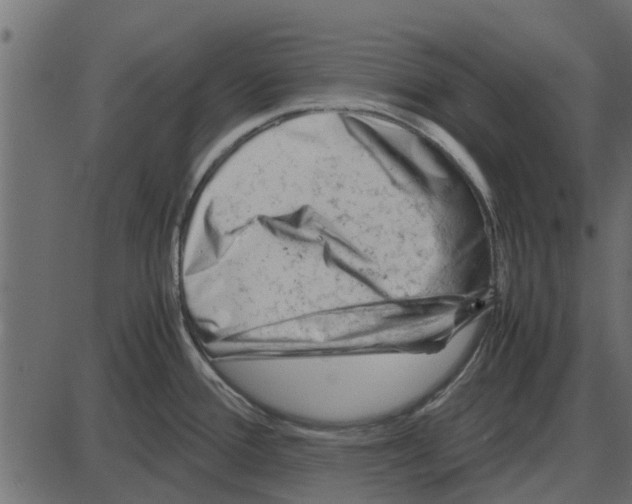 X0000087401388200705181321