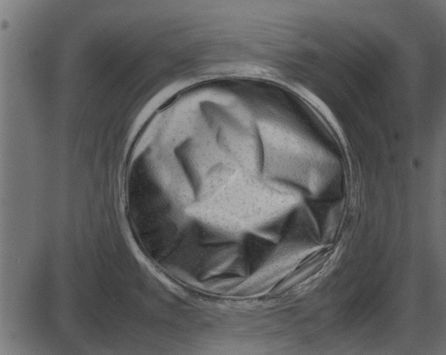 X0000087401389200705181321